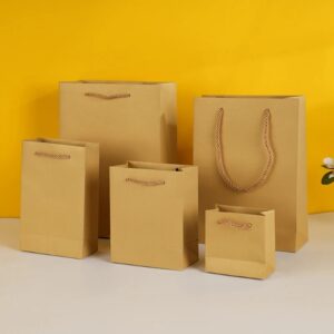 Luxury Twisted Handle Gift Bags | Premium Custom Packaging